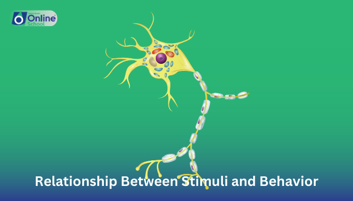 Lesson 02: Relationship Between Stimuli and Behavior